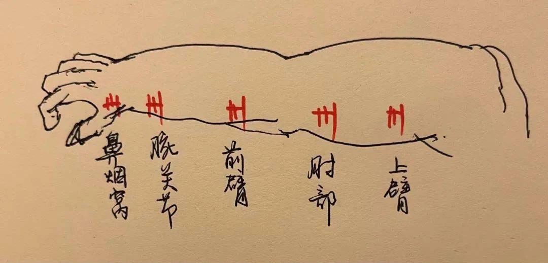 微信图片_20240730084037.jpg